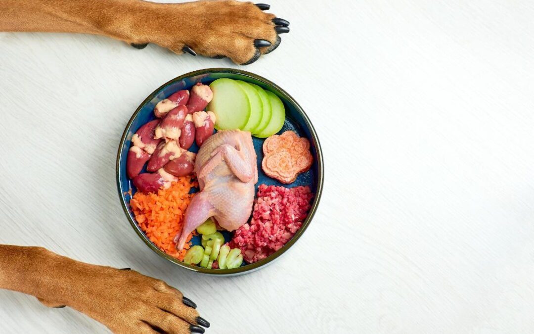 dogs paws next to a bowl of food