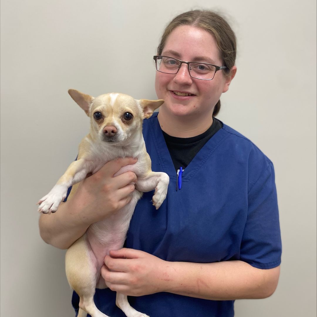 Ashley Boone Ashley Boone