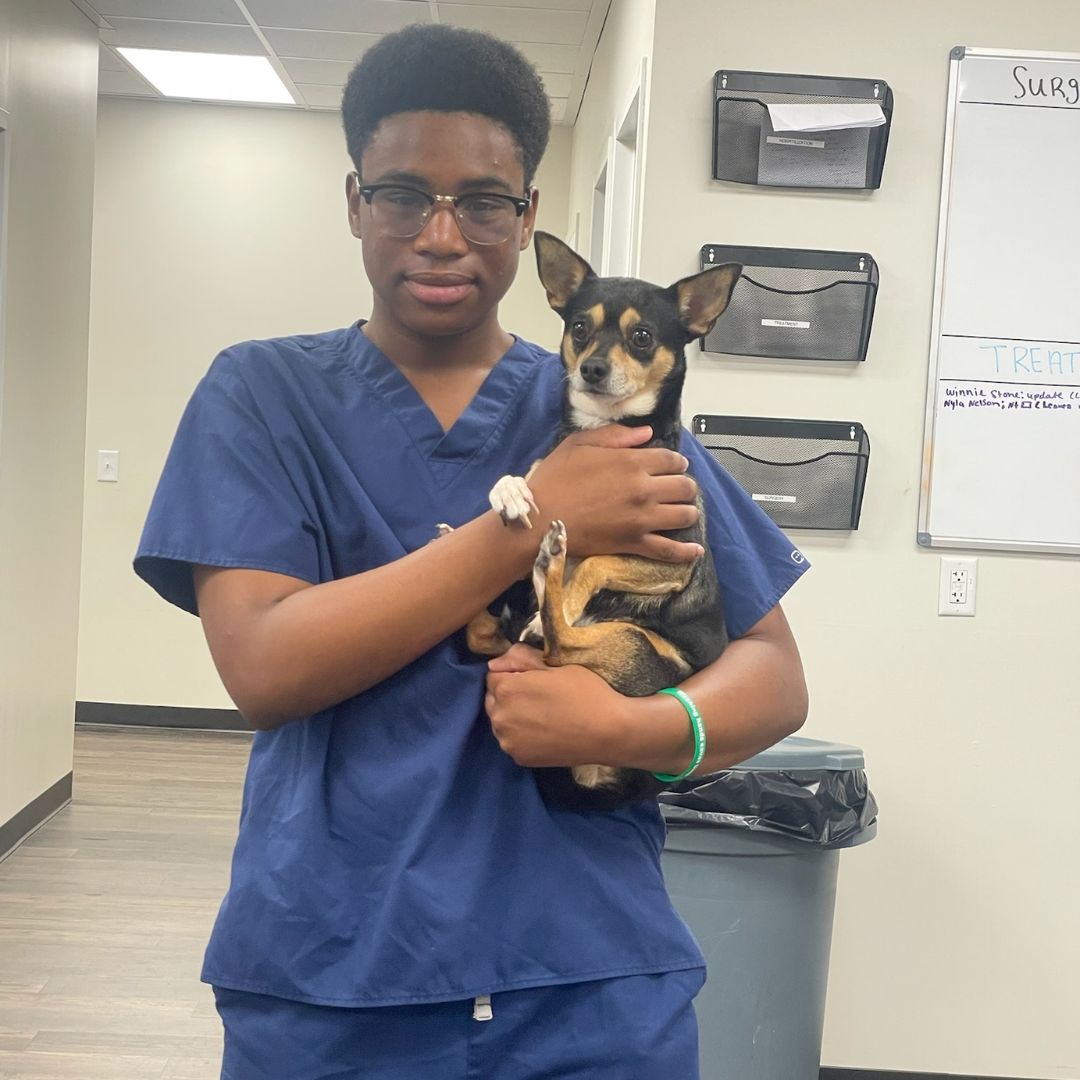 Christopher Jones Christopher Jones