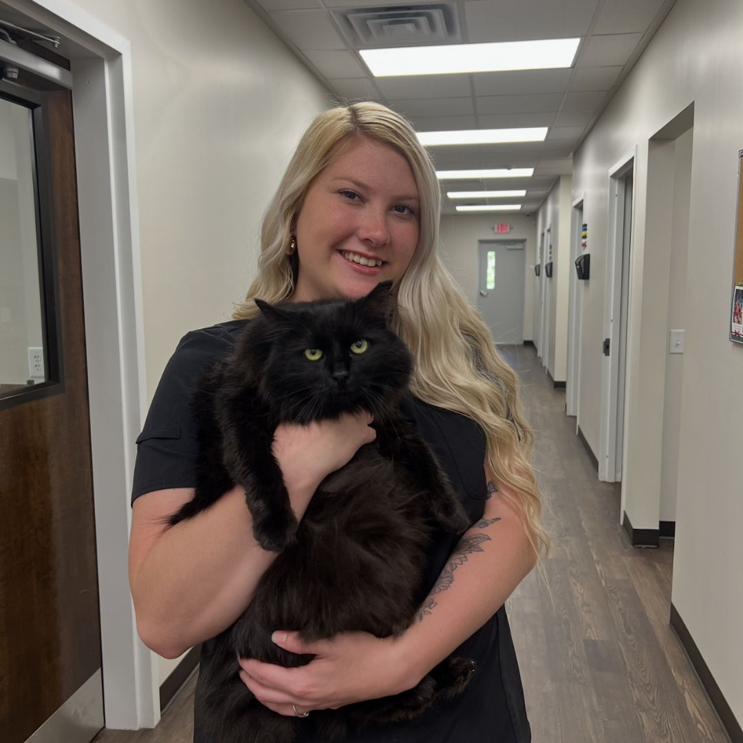 Haley Morris Haley Morris