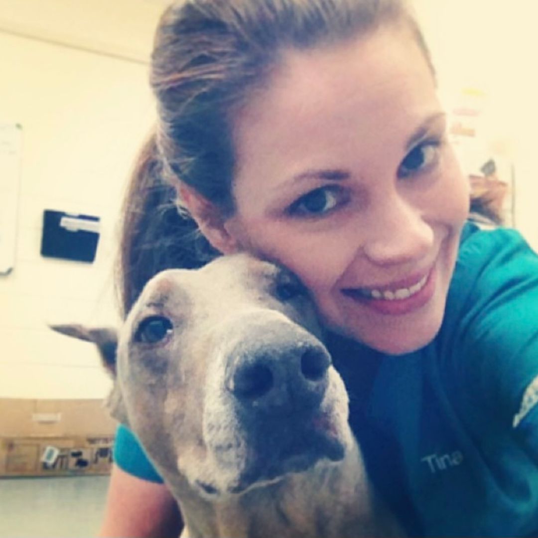 a person in a blue shirt is hugging a dog a person in a blue shirt is hugging a dog