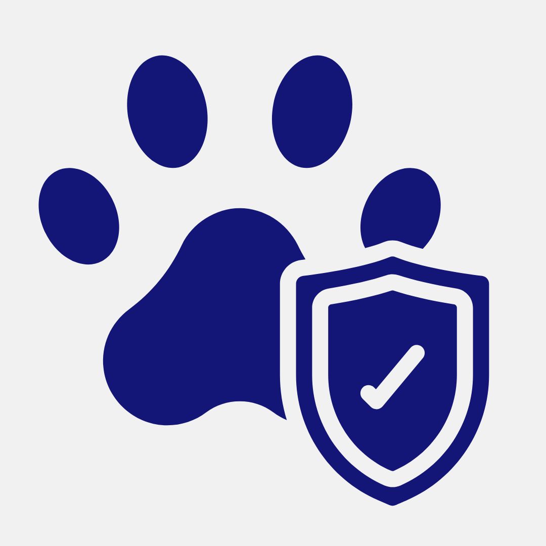 pet insurrance icon