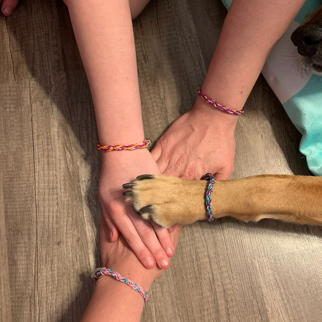 three people holding hands with a dog on the floor three people holding hands with a dog on the floor