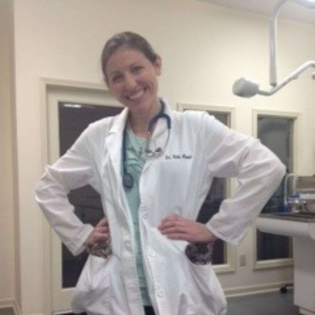 Front Desk Smiles with Clinic Cat Team member at Cashua Veterinary Care smiling and holding an orange cat at the front desk while another staff member works in the background.